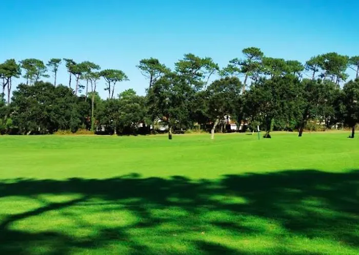 Great Between Golf Course And